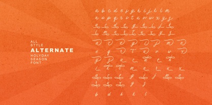 Holiday Record Font Poster 9