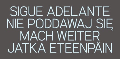 Womcer Font Poster 3