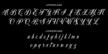 Loyalty Font Poster 6