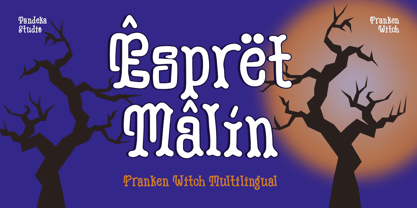 Franken Witch Font Poster 11