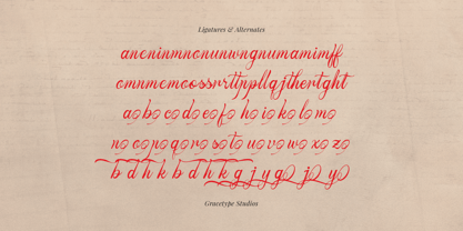Howtaly Font Poster 12