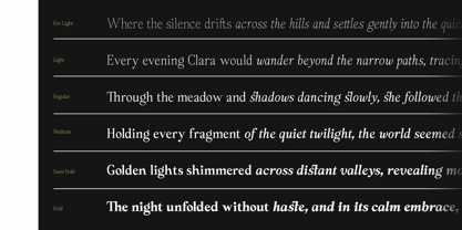 Panasea Font Poster 3