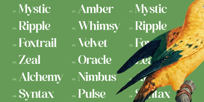 Grand Highland Font Poster 8