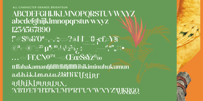 Grand Highland Font Poster 10