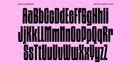 Nichol Font Poster 10