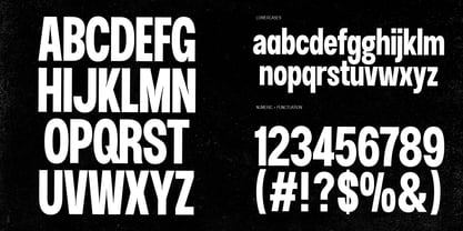 Doghy Font Poster 10