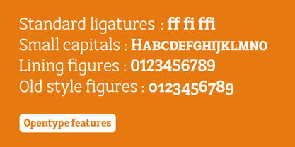 AC Texto Serif Pro Font Poster 7