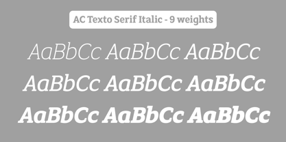 AC Texto Serif Pro Font Poster 3