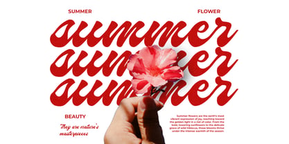 Hormuz Font Poster 4