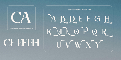 Seganty Font Poster 4