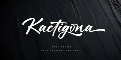 Kactigona Font Poster 1