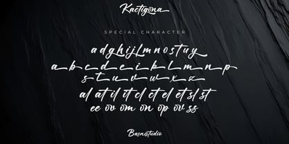 Kactigona Font Poster 11