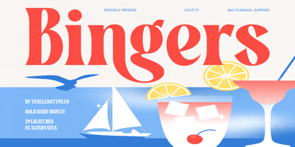 Bingers Font Poster 1