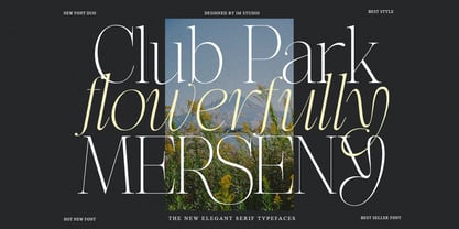 Effidhem Mevagen Font Poster 7