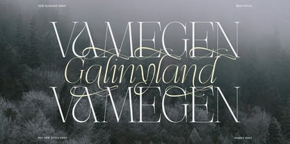 Effidhem Mevagen Font Poster 5