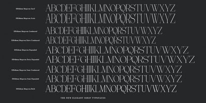 Effidhem Mevagen Font Poster 14