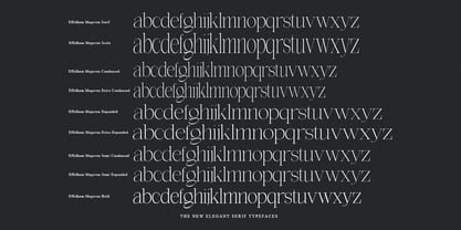 Effidhem Mevagen Font Poster 15