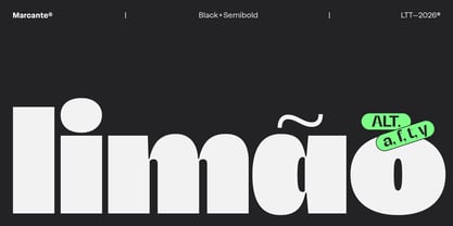 Marcante Font Poster 14