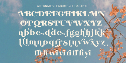 Evorine Font Poster 7