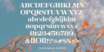 Evorine Font Poster 5