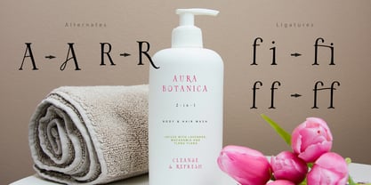 Avelira Font Poster 4