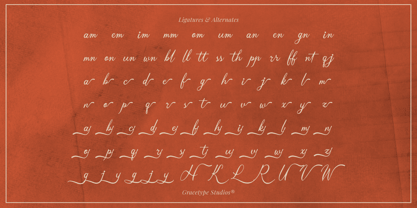 Ruilanty Font Poster 12