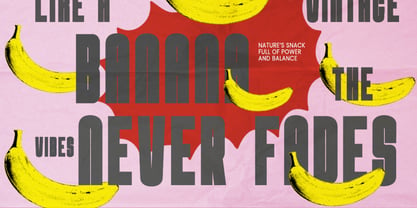Envolt Font Poster 6