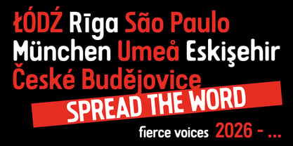Citizen Font Poster 4