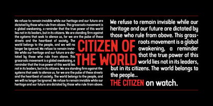 Citizen Font Poster 5