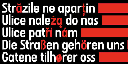 Citizen Font Poster 3