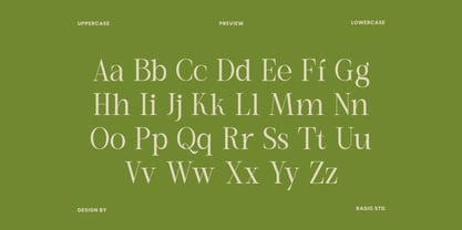 Remara Font Poster 2