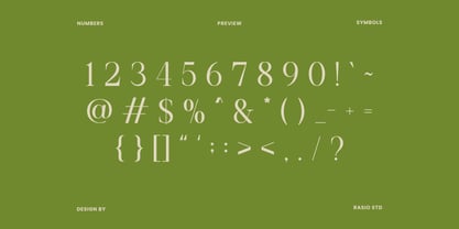 Remara Font Poster 3