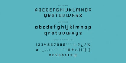 Selicha Font Poster 10