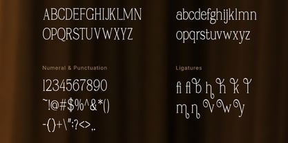 Carhane Font Poster 2