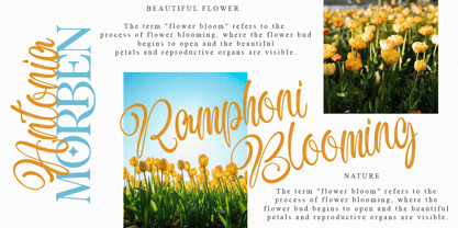 Antonia Morben Font Poster 2