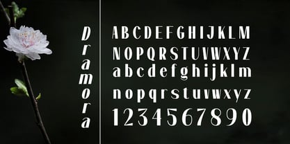 Dramora Font Poster 6