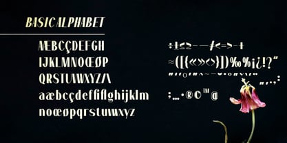 Dramora Font Poster 7