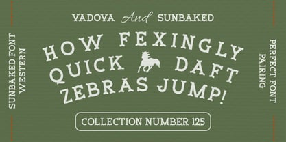 Sunbaked Font Poster 3