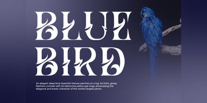 Hizba Font Poster 7