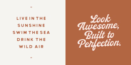 Peach Club Script Font Poster 8
