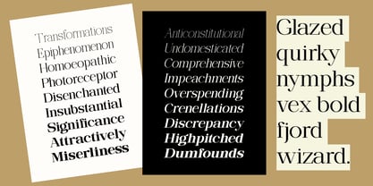 Ethically Serif Font Poster 7