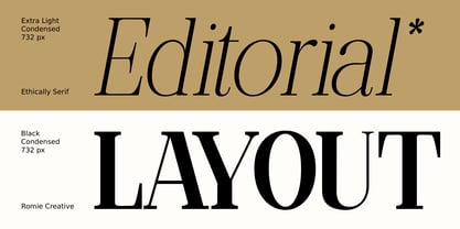 Ethically Serif Font Poster 6