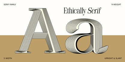 Ethically Serif Font Poster 5