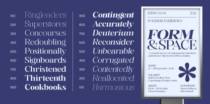 Rafiela Font Poster 10