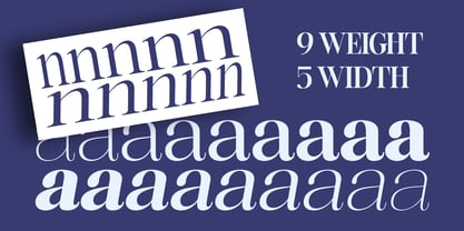 Rafiela Font Poster 4