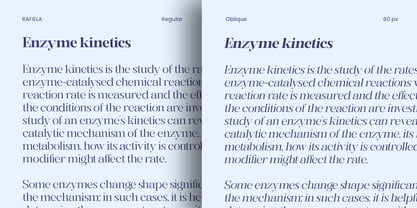 Rafiela Font Poster 7