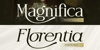 Desevon Font Poster 4