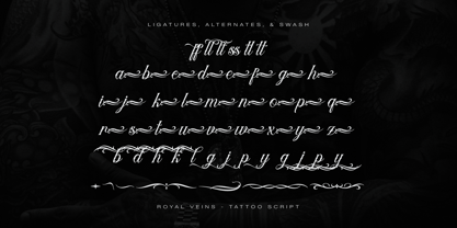 Royal Veins Font Poster 12