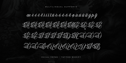 Royal Veins Font Poster 11