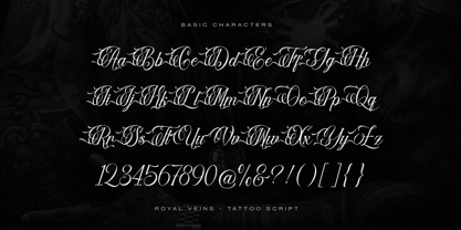 Royal Veins Font Poster 10